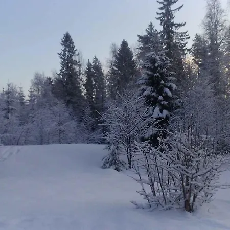 In Paltamo 4937 Semesterbostad Manamansalo