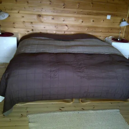 In Paltamo 4937 Holiday home