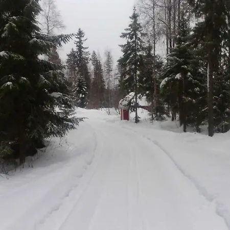 In Paltamo 4937 Prázdninový dům Manamansalo