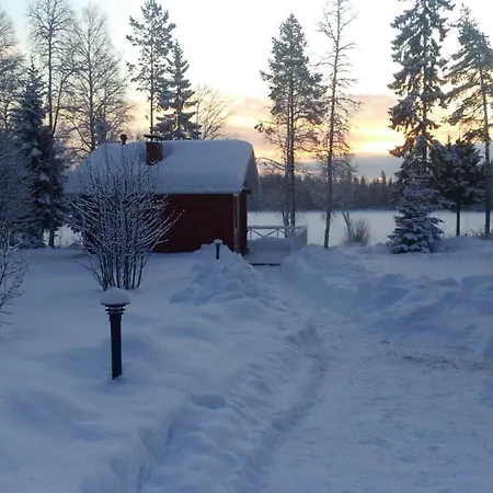 In Paltamo 4937 Holiday home